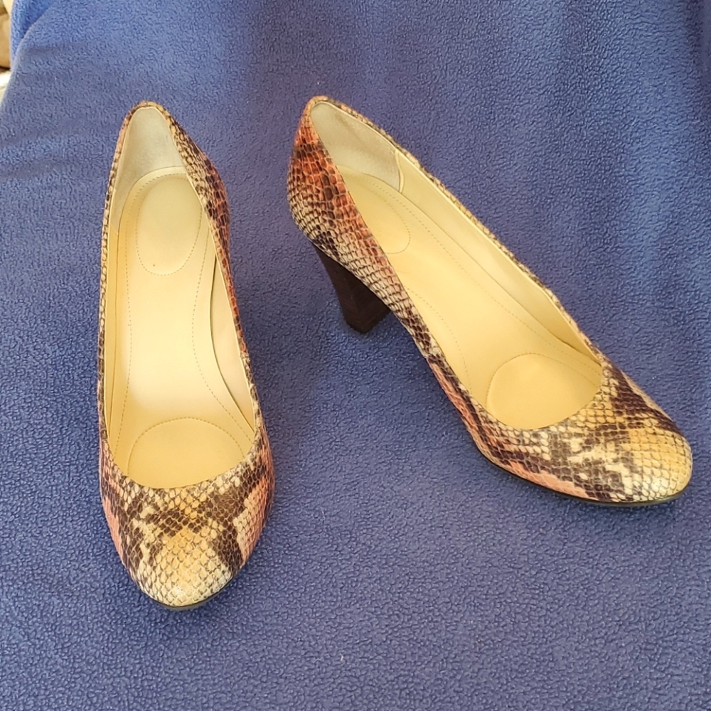Calvin Klien Snake Style Shoes